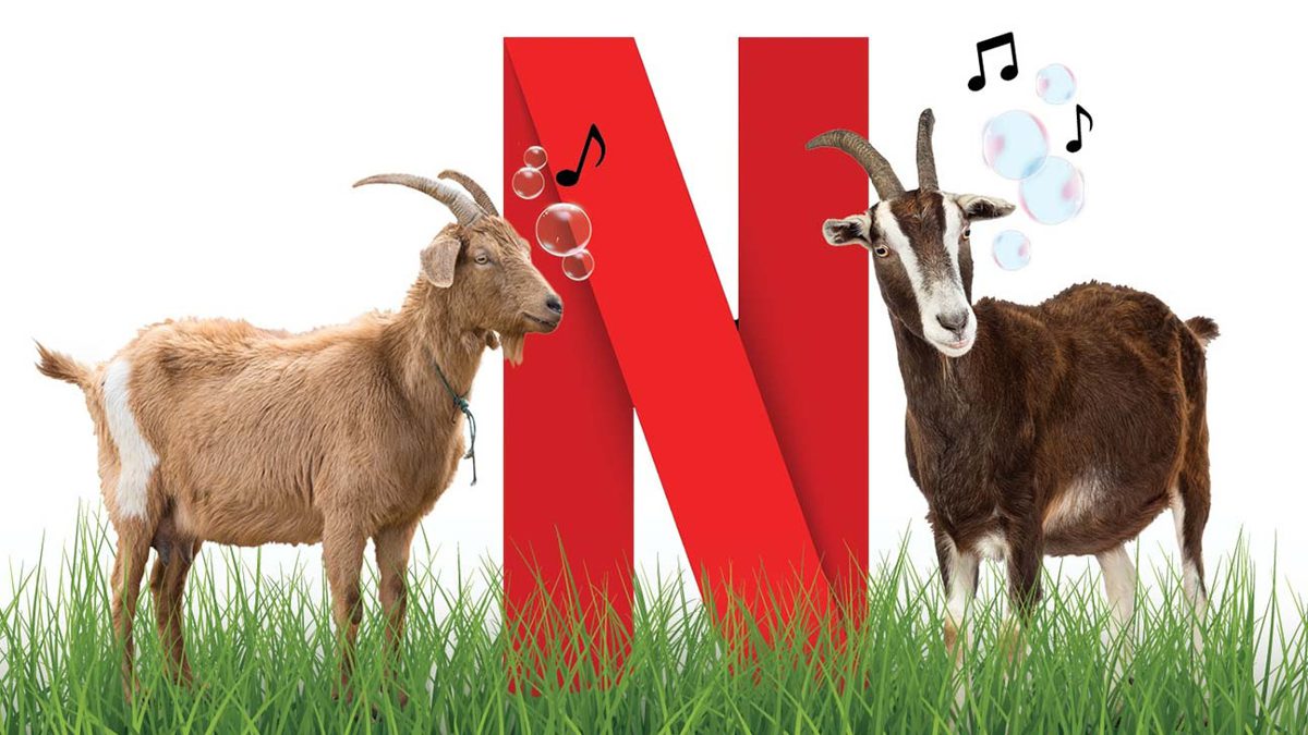 Netflix's popular "ta-dam" sound effect accompanies a goat bite