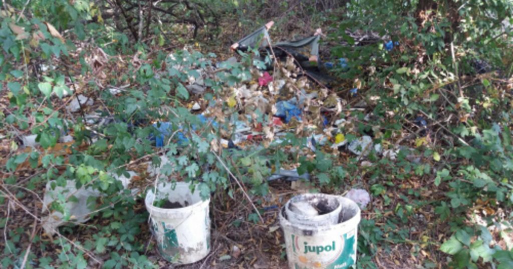 Index - Tech-Science - Huge amounts of garbage have accumulated in forests