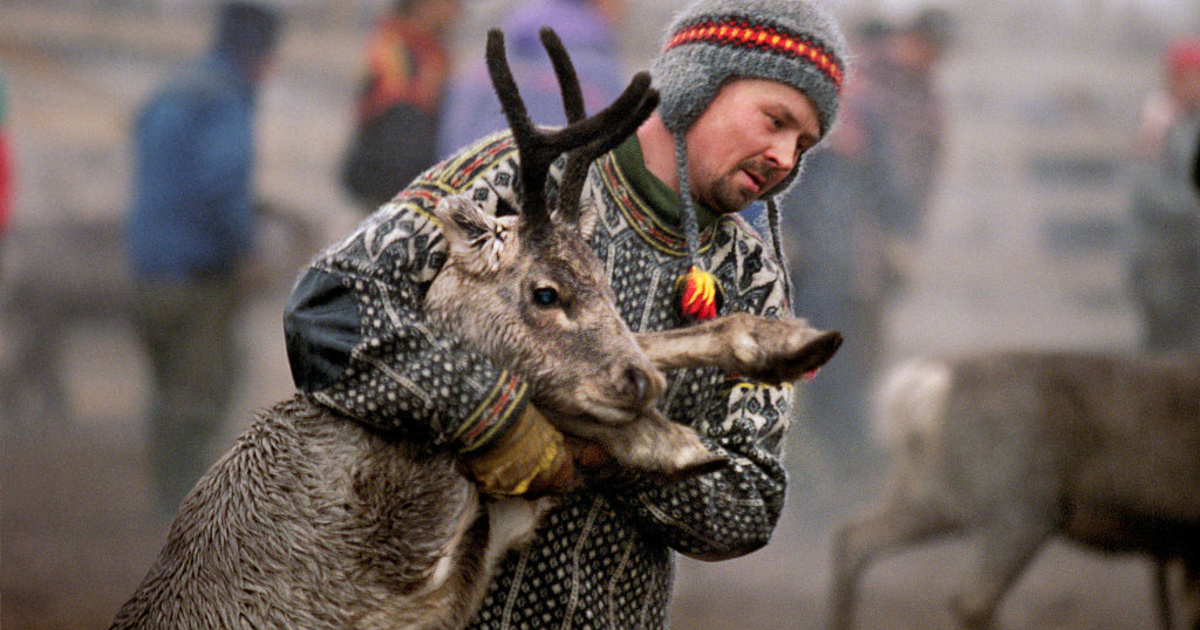 Tech-Science index - Reindeer breeders protest against the wind farm