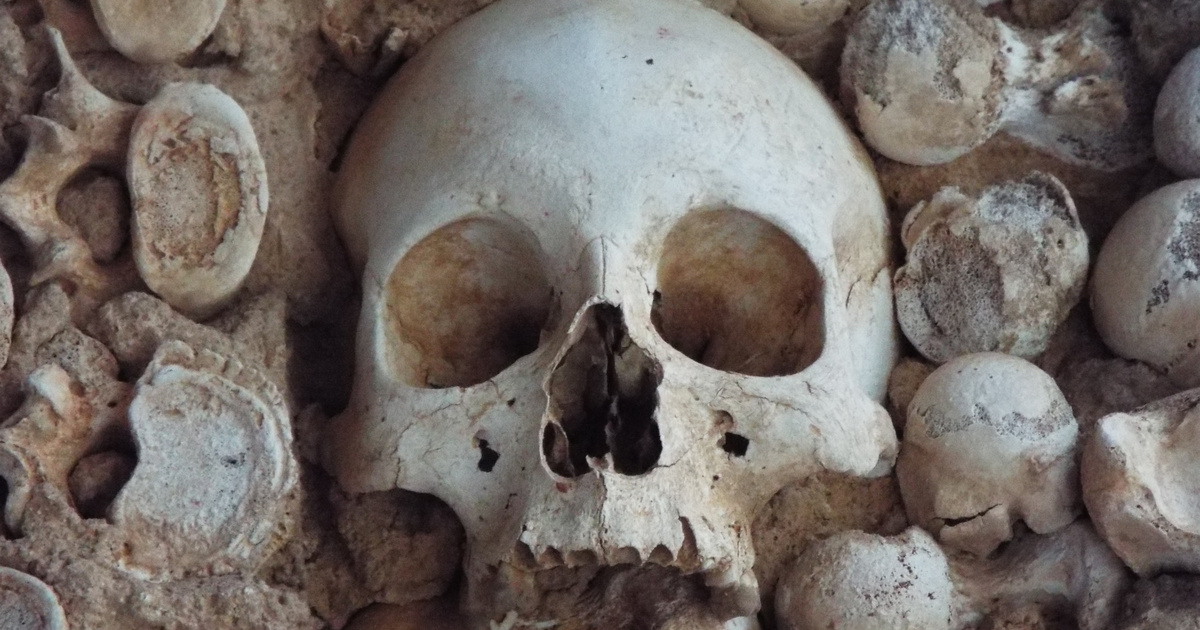 Index - Tech-Science - Graves guarding human skulls were discovered buried in containers in southwest China