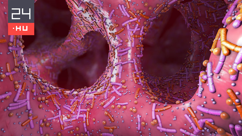 New viruses are found in the human body