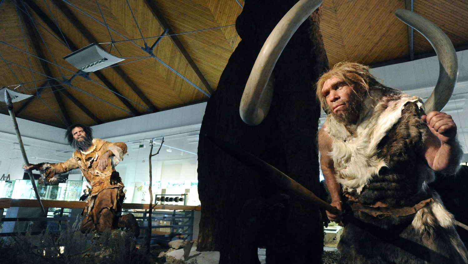 Earth's magnetic pole shift may have played a role in the extinction of Neanderthals