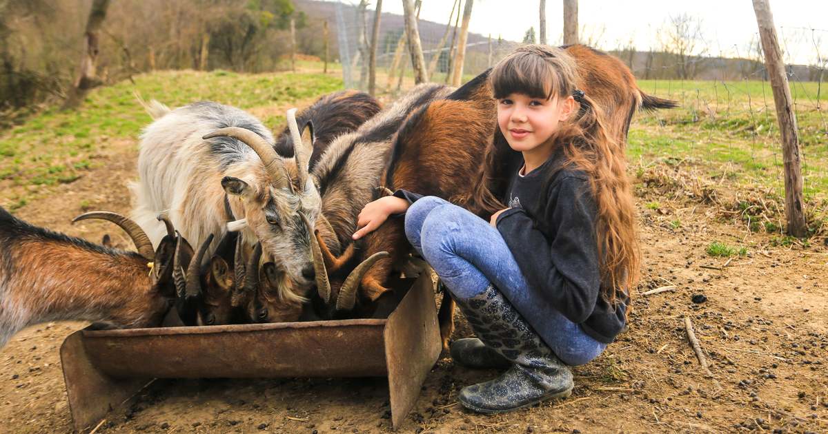 Family farm in Németbánya: "The state of mind changes here"