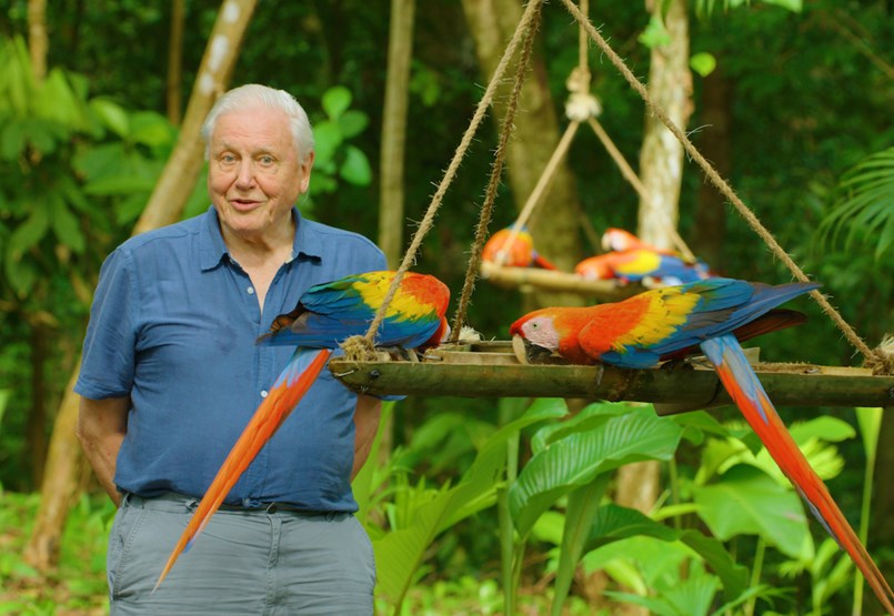 By the age of 95, David Attenborough sees the world hotter than anyone else