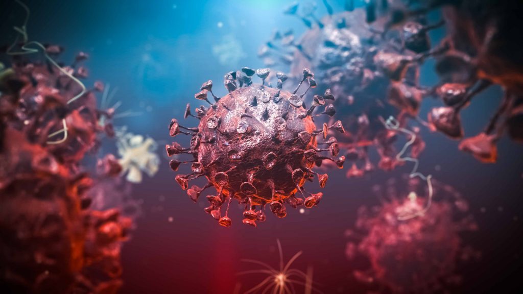 Coronavirus: The epidemic is receding in most parts of the world, and Hungary is not asking for more from Pfizer