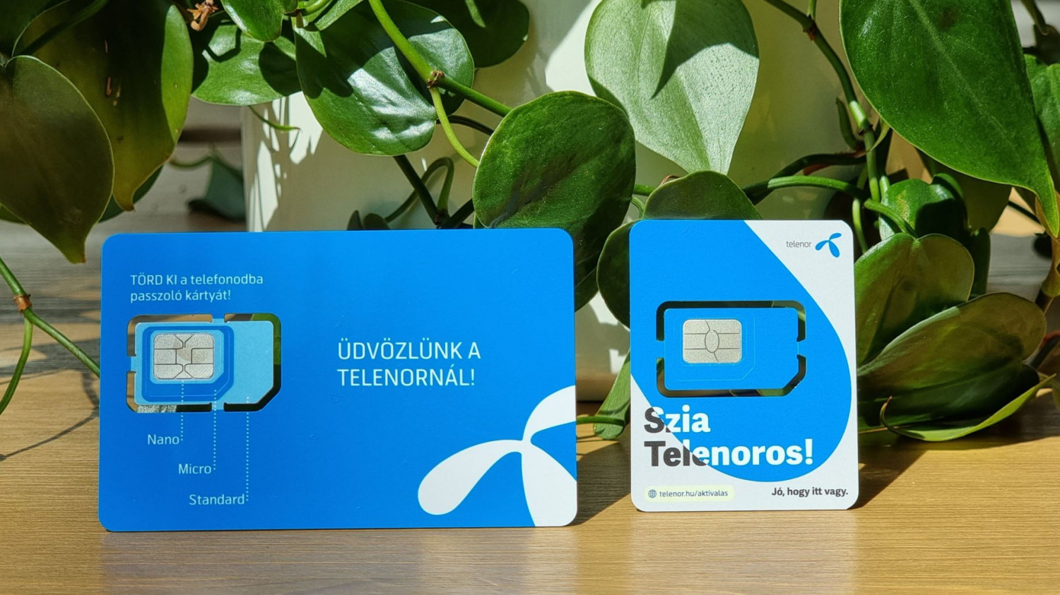 Telenor offers a new SIM to replace the old ones البطاقات