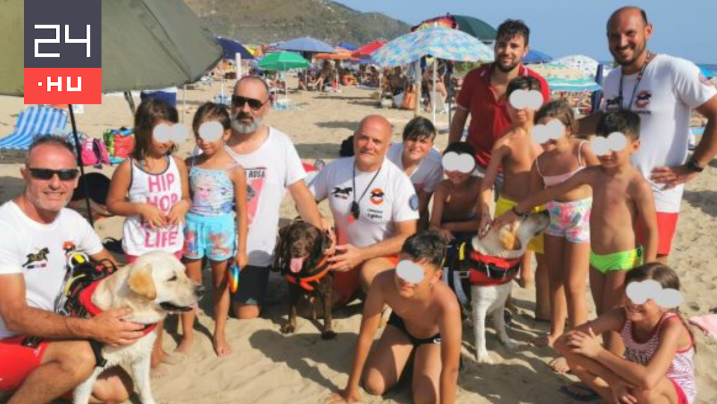 14 people were rescued from the sea by three Labrador's on an Italian beach