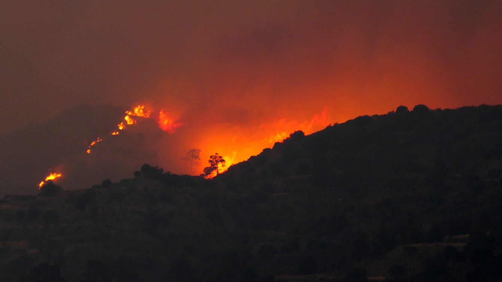 Forest fires are raging in Cyprus, and many settlements had to be evacuated