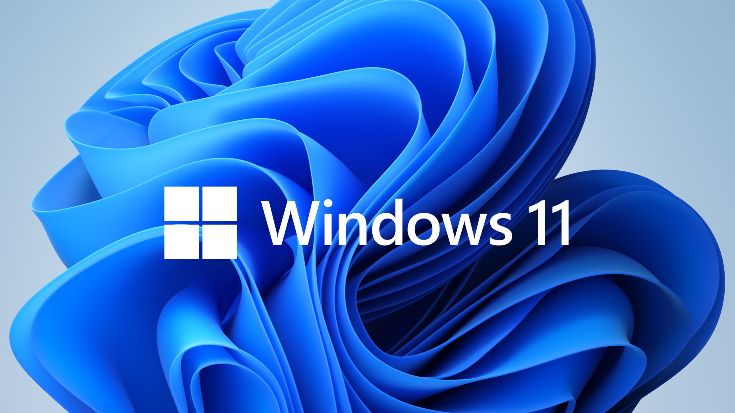 You will also be able to install Windows 11 on older PCs