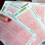 The five winning numbers in the lottery have been drawn