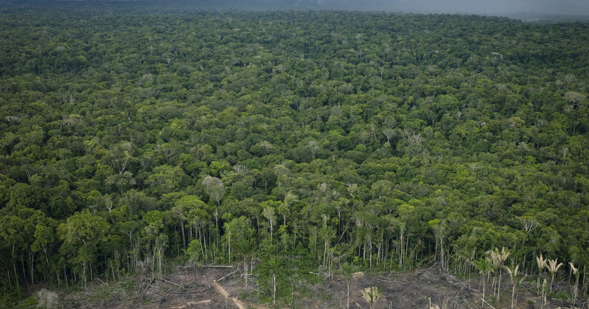 Catalog - Tech-Science - It's going to be hard to buy Amazon Protected Lands on Facebook