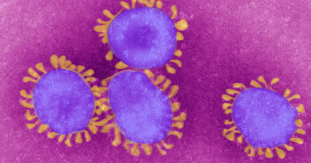Index - Tech-Science - Like the common cold, the coronavirus can be re-infected year after year