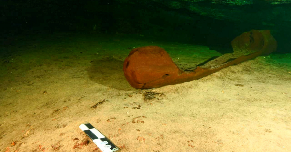 Index - Tech-Science - Mayan boats over a thousand years old were found in Mexico