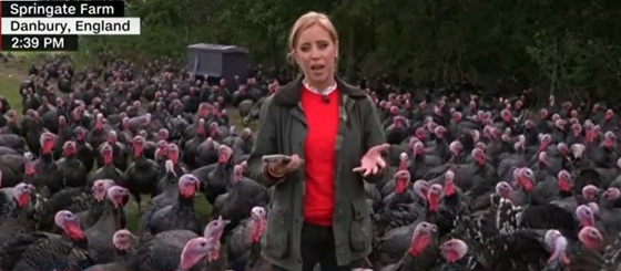 Life + Style: A team of turkeys found a CNN report very funny