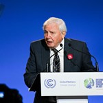 David Attenborough, 95, gave the most important speech at the Climate Summit