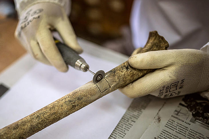 Balázs Gusztáv Mende takes a sample from a find within the framework of the third Russian-Hungarian archaeological expedition in the Urals in 2015 (Photo: MTI / Mátyás Szöllősi)