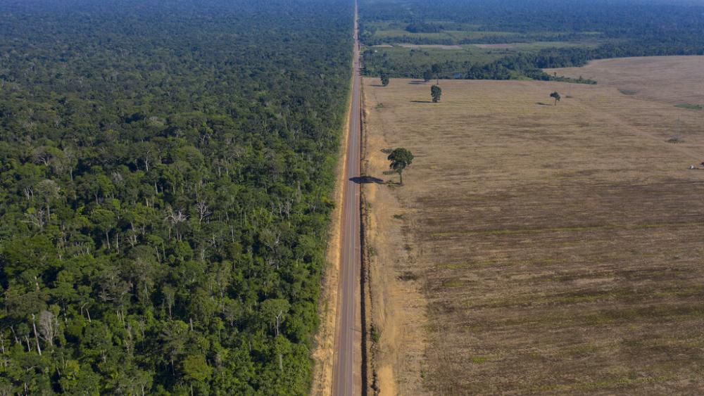 Rainforests are seriously shrinking, and the main reason for this is four countries