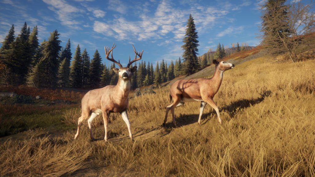 The Epic Games Store distributes hunting games