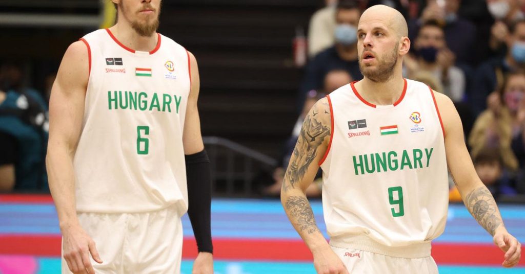 The world ranking of the Hungarian men's team fell by two places