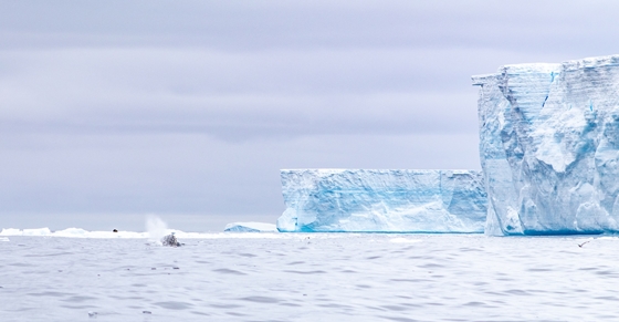 Technology: Fresh water seeps into the ocean from a huge A68 iceberg, at more than 1.5 billion tons per day
