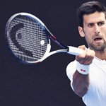 Djokovic admits there was a lie in his visa application, but claims he did not write