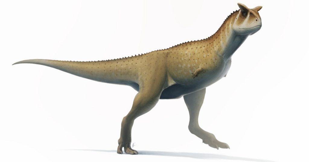 Index - Tech-Science - A new species of dinosaur has been discovered in Argentina, only it does not have arms