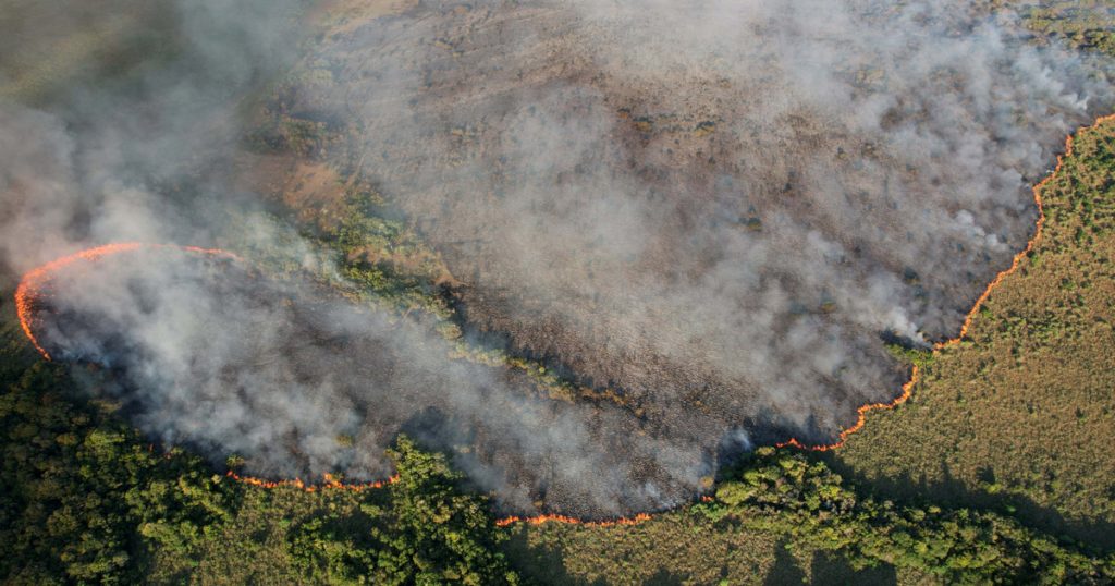 Index - Tech-Science - The United Nations warns of an increase in severe forest fires by 50%