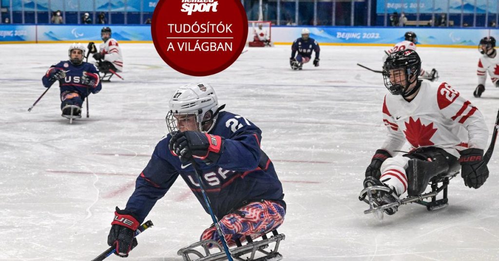 Paralympic Winter Games: Amazing fighting spirit, Parahawk is also hockey