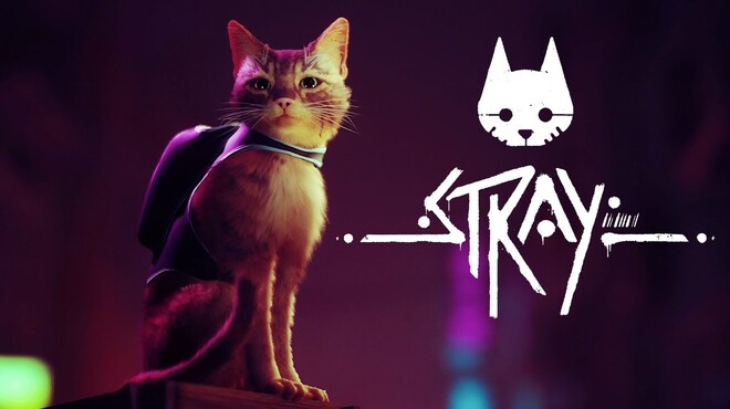 Don't worry, Stray is coming out later this year