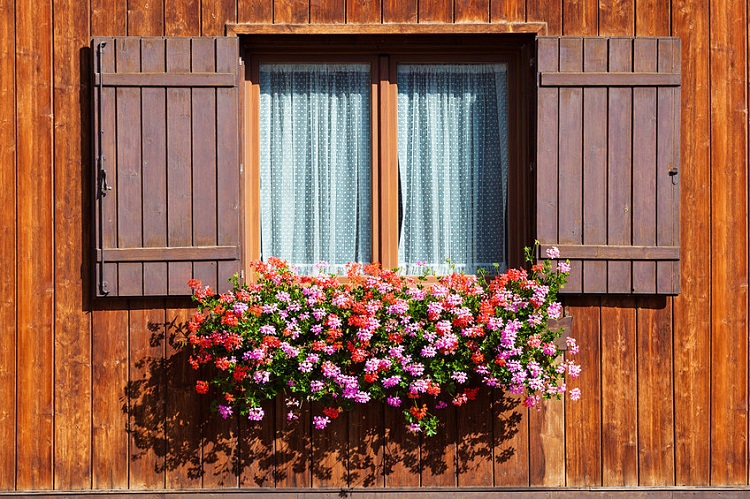flower box on the window