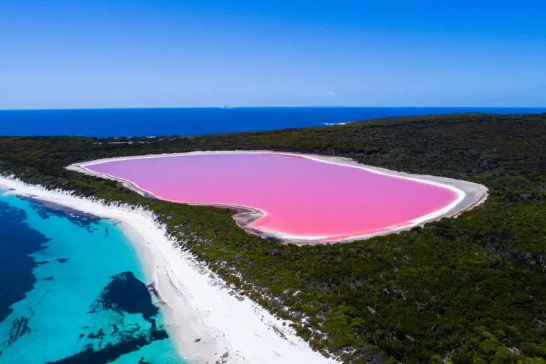 Red and violet microbes give Australia Lake a mysterious pink color