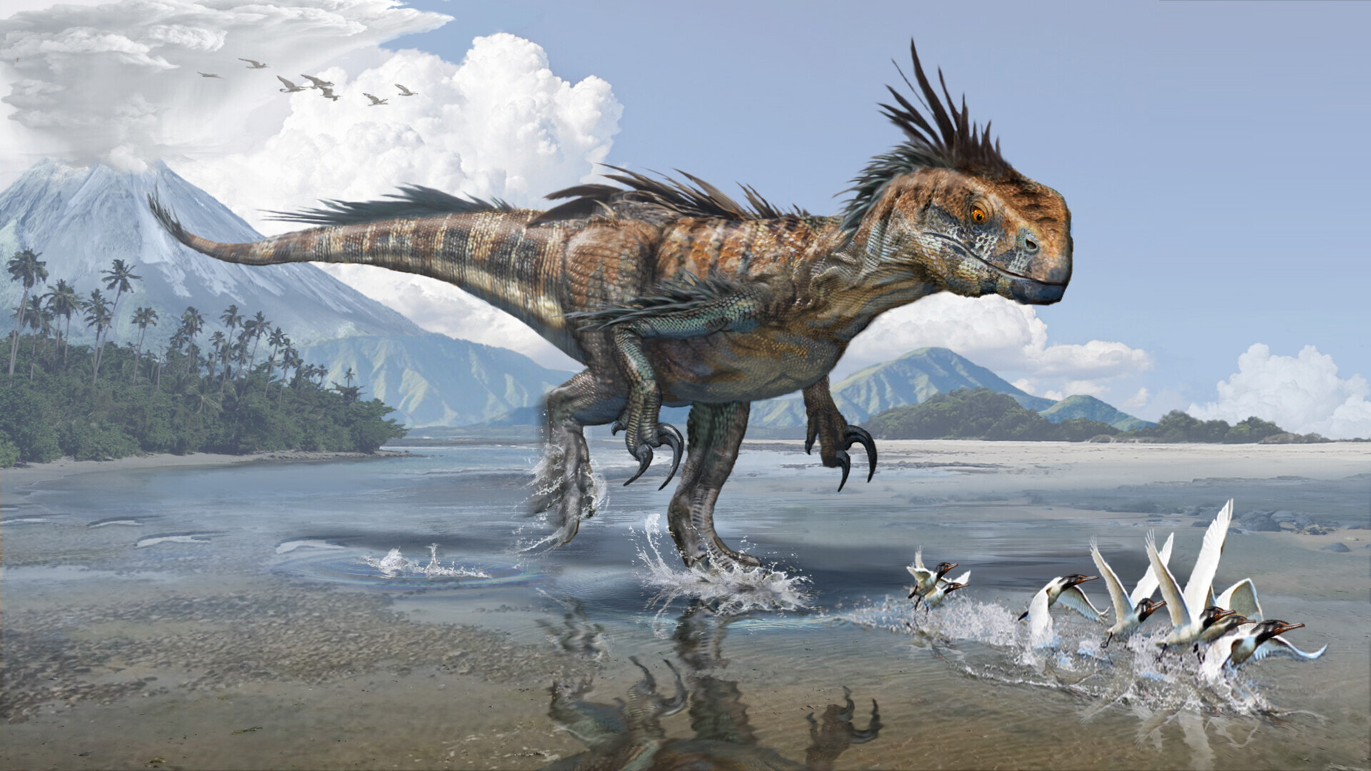 The remains of the largest Megaraptor flag have been found