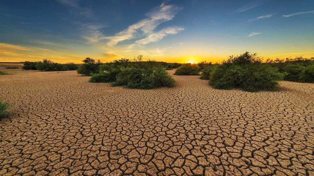 According to the United Nations, droughts are becoming more frequent and protracted