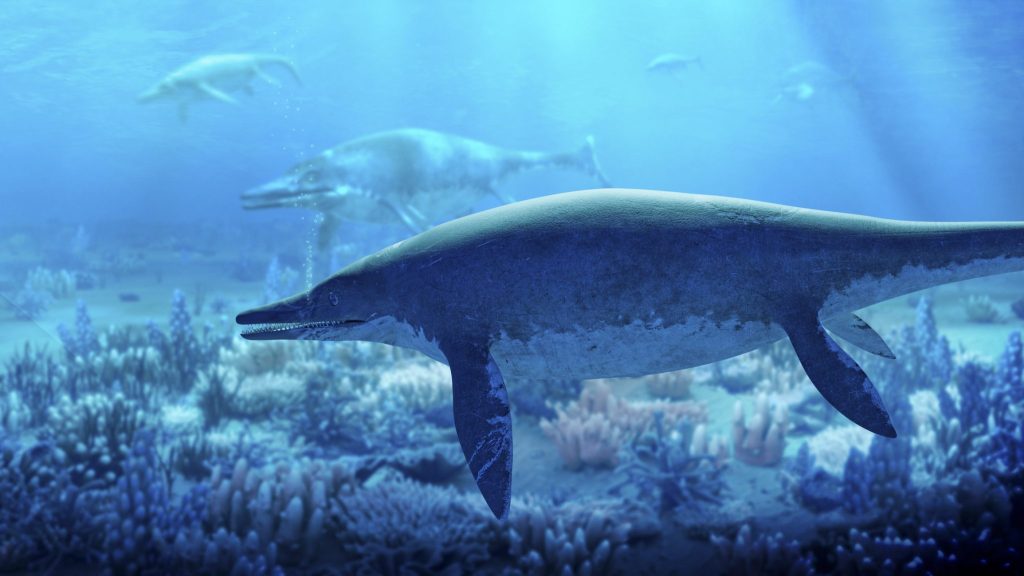 Researchers have found the remains of the largest fish lizard ever known
