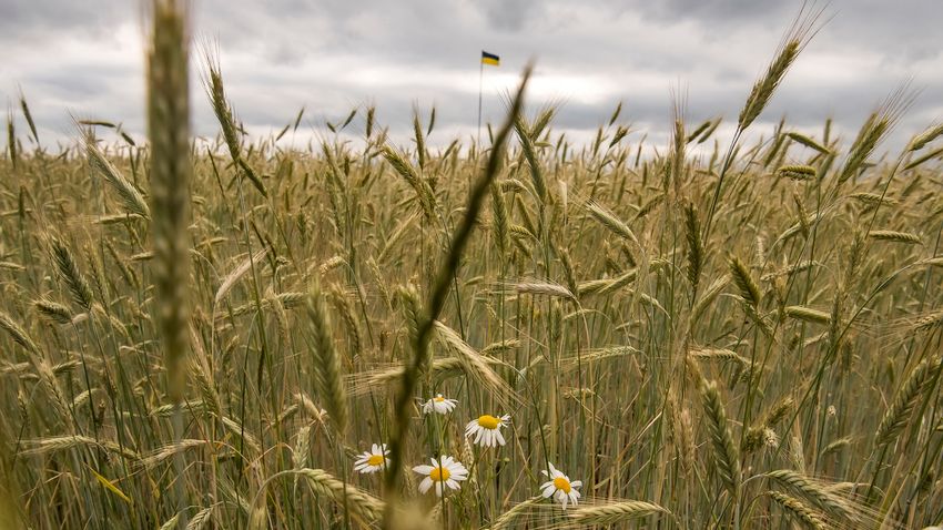 American giants buy Ukrainian farmland