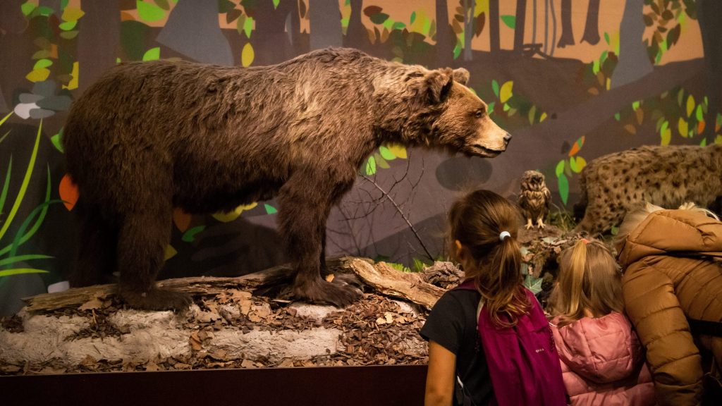 Free Family Day of the Hungarian Museum of Natural Sciences has been a huge success